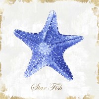 Blue Starfish Fine Art Print