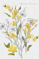 Botantical Yellow Flowers Fine Art Print