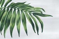Tropical Leaf I Fine Art Print