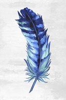 Indigo Feather I Fine Art Print