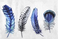 Feather Line up Fine Art Print