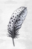 Indigo Feather II Fine Art Print