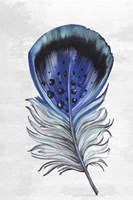 Indigo Feather III Fine Art Print