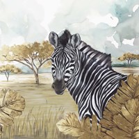 Golden Zebras Fine Art Print