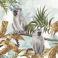 Golden Monkeys Fine Art Print