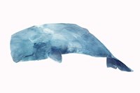 Whale Framed Print