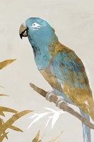 Blue Parrot II Fine Art Print