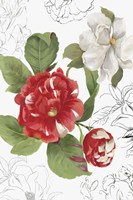 Florecer I Framed Print