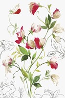 Florecer II Framed Print