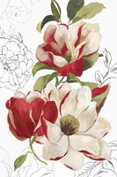 Florecer III Framed Print