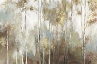 Fine Birch III Fine Art Print