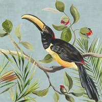 Paradise Toucan II Fine Art Print