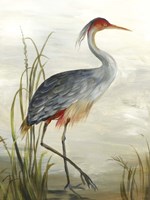 Grey Heron Fine Art Print