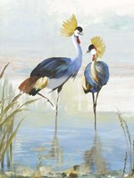 Heron Pairing Fine Art Print
