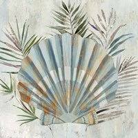 Turquoise Shell II Framed Print