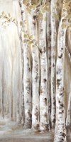 Sunset Birch Forest II Fine Art Print