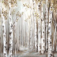 Sunset Birch Forest III Fine Art Print