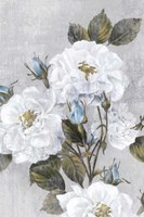 Graceful I Fine Art Print