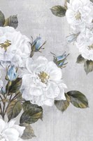 Graceful II Fine Art Print