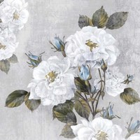 Graceful III Fine Art Print