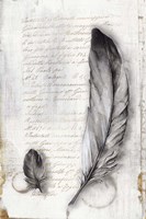 Vintage Feathers II Fine Art Print
