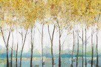 Molto Fine Art Print