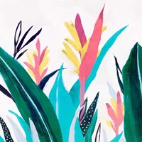 Alpinia I Fine Art Print