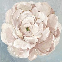 Pink Flower Fine Art Print