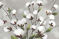 Cotton Ball Flowers I Fine Art Print