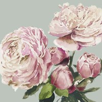 Pink Peony II Fine Art Print