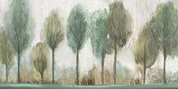 Tall Trees Fine Art Print