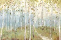 Sunny Forest Fine Art Print