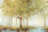 Forest River Fine Art Print