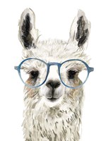 Hip Llama II Fine Art Print