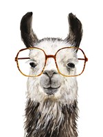 Hip Llama III Fine Art Print