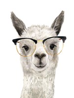 Hip Llama IV Fine Art Print
