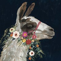 Lovely Llama I Framed Print