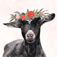 Garden Goat III Framed Print