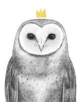 Royal Forrester II Framed Print