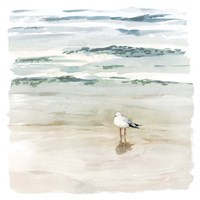 Seagull Cove II Fine Art Print