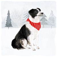 Christmas Cats & Dogs II Framed Print