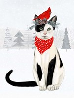 Christmas Cats & Dogs VI Fine Art Print