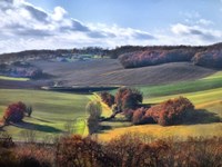 Pastoral Countryside IX Fine Art Print