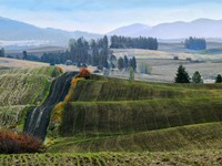 Pastoral Countryside XIII Fine Art Print