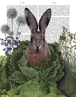 Cabbage Patch Rabbit 1 Fine Art Print