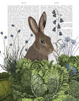 Cabbage Patch Rabbit 2 Fine Art Print