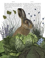 Cabbage Patch Rabbit 3 Fine Art Print