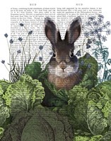 Cabbage Patch Rabbit 4 Fine Art Print