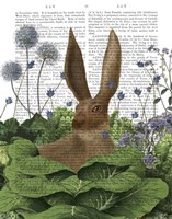 Cabbage Patch Rabbit 5 Fine Art Print