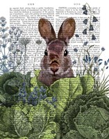 Cabbage Patch Rabbit 6 Fine Art Print